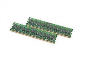 X3199-R6 NetApp Memory Module DIMM(2), 512MB, ECC, Sys Memory, FAS2020, R6